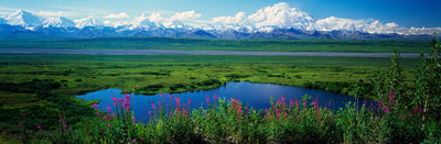 Mount McKinley, Denali National Park Photographic Mural