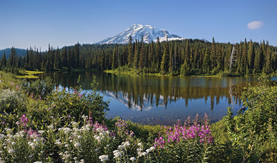 Reflection Lake, Mt Rainier National Park Photographic Mural