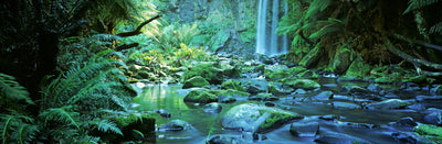 Hopetown Falls, Australia Photographic Mural