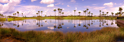 Lake Worth, Everglades National Park Photographic Mural