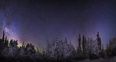 Lapland, Sweden Photographic Mural