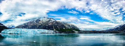 Glacier Bay National Park Photographic Mural