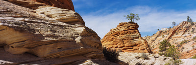 Zion National Park Photographic Mural