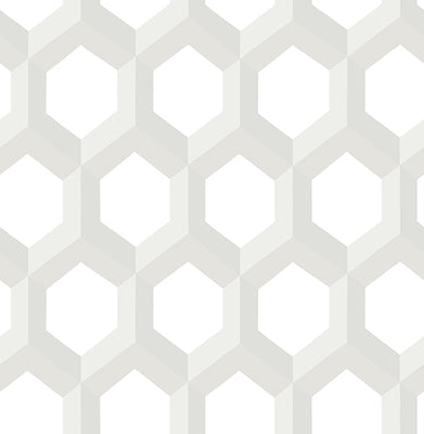 Hex Neutral Geometric Wallpaper