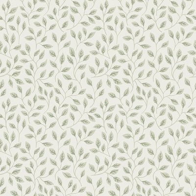 Posey Light Green Vines Wallpaper