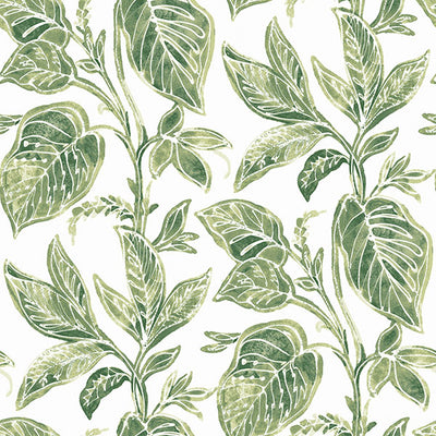 Mangrove Green Botanical Wallpaper