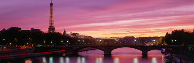 Paris Photographic Mural