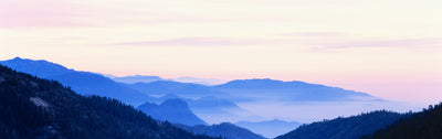 Sequoia National Park Photographic Mural