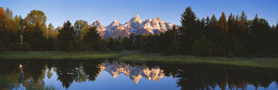 Beaver Pond, Grand Teton National Park Photographic Mural