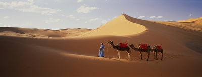 Morocco, Africa Photographic Mural