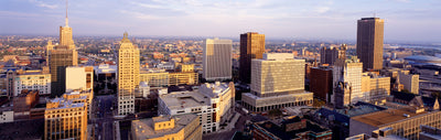 Buffalo Photographic Mural