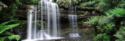 Mt Field National Park, Australia Photographic Mural