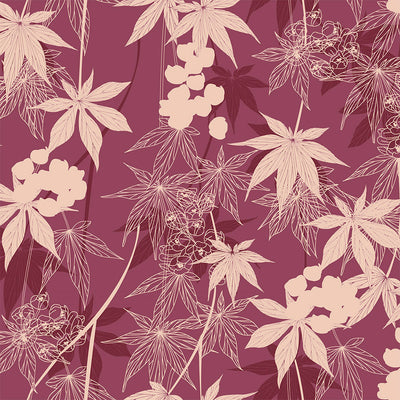 Japanese Maple Wallpaper - Flighty