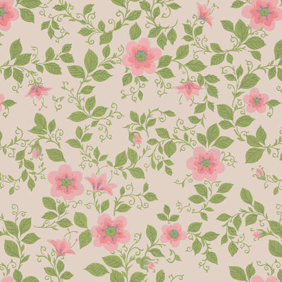 Morning Glory Wallpaper - Pink