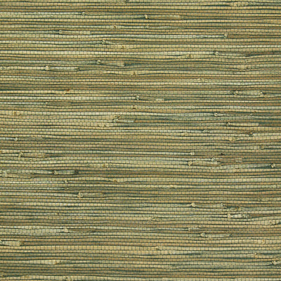 Exotic Naturals | Olive Grasscloth Wallpaper