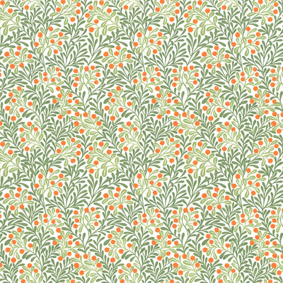 Fruit Botanical Wallpaper - Olive