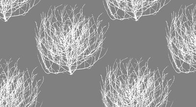 Tumbleweed Wallpaper - Grey