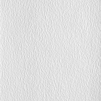 Lace Bark Paintable Embossed Wallpaper