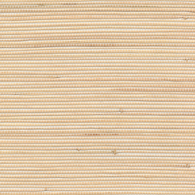 Arrowroot Raffia Wallpaper