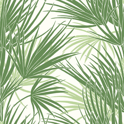 Palmetto Wallpaper - Green