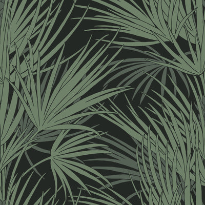 Palmetto Wallpaper - Black/Green