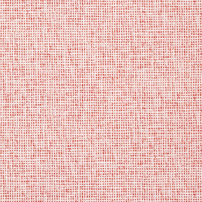 Pinellas Wallpaper - Coral