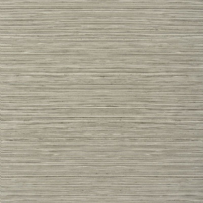 Kendari Grass Wallpaper - Taupe