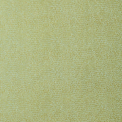 Chameleon Wallpaper - Patina